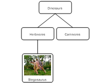 Grouping dinosaurs 