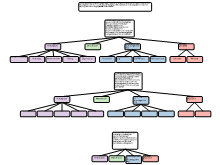 Groepeerschema dataverzameling JHB