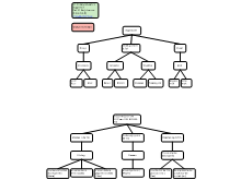 Van 7-10 Groepeerschema's 