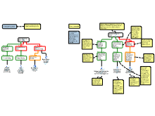 Thinking Path 5: Evaluate Arguments